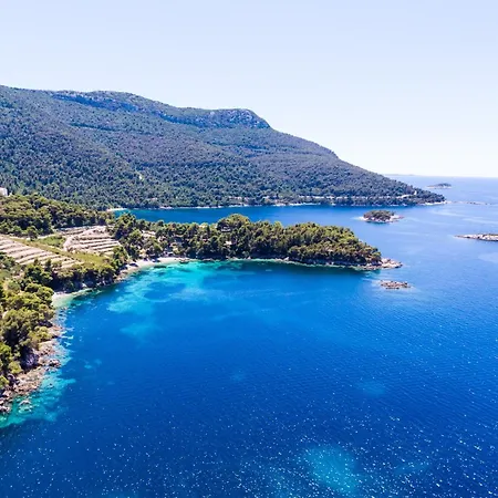 Lägenhet Dalmatin *