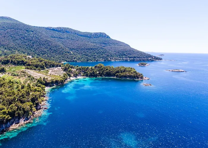 Apartamento Dalmatin *